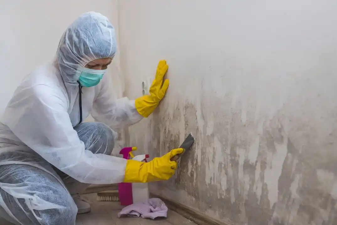 water damage restoration service The Parks